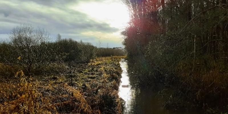 Bathgate Water Environment