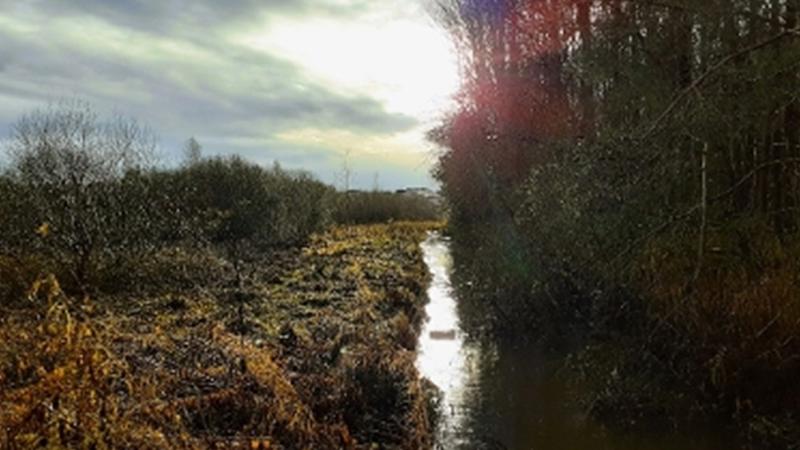 Bathgate Water Environment