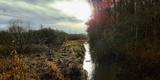 Bathgate Water Environment