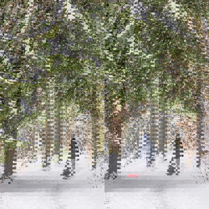 Almondell Country Park