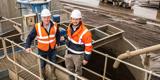 The Brewster Brothers won this year’s VIBES Circular Scotland award.
