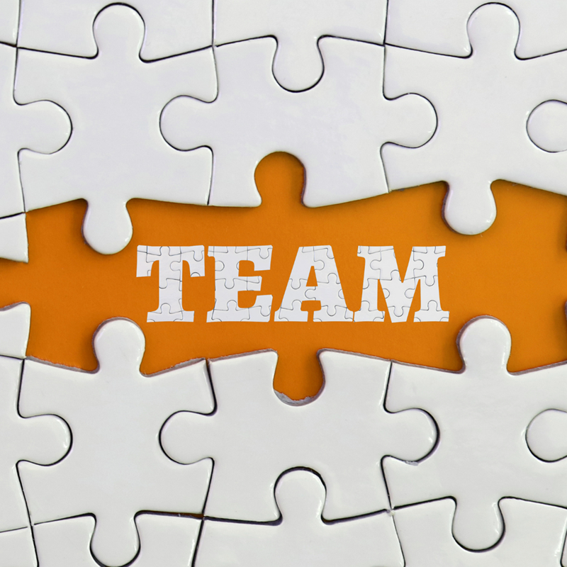 Meet The Team Jigsaw