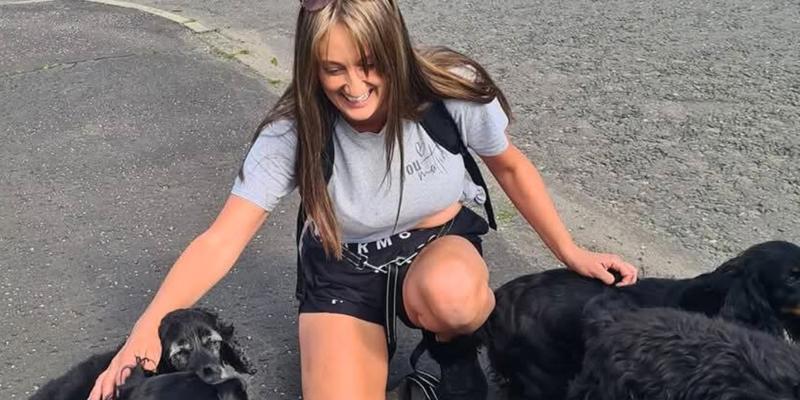 The Paw Patrol Image Case Study