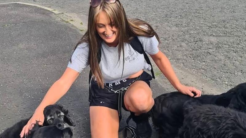 The Paw Patrol Image Case Study